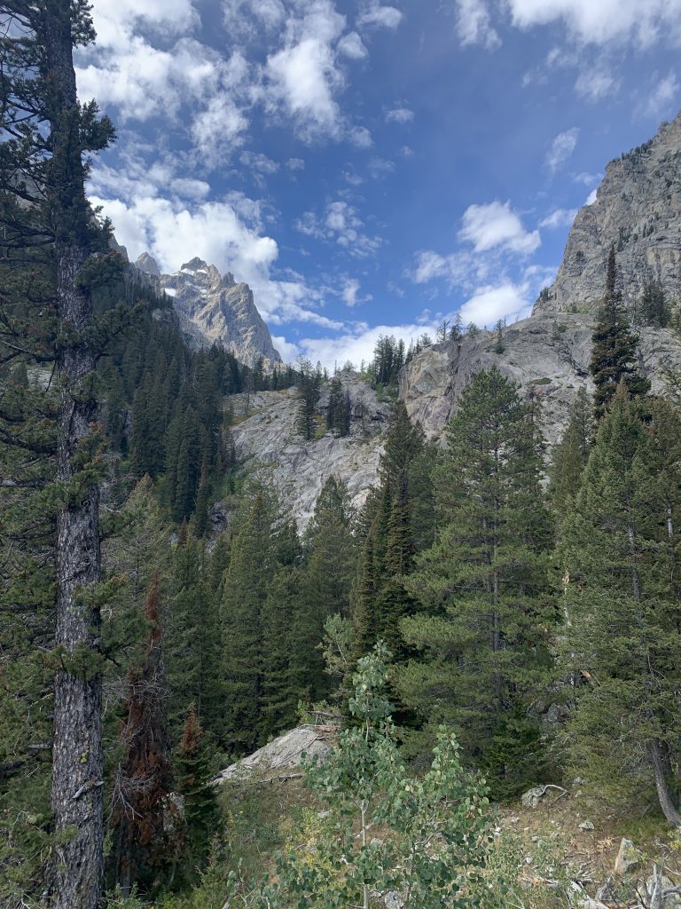 The Grand Tetons