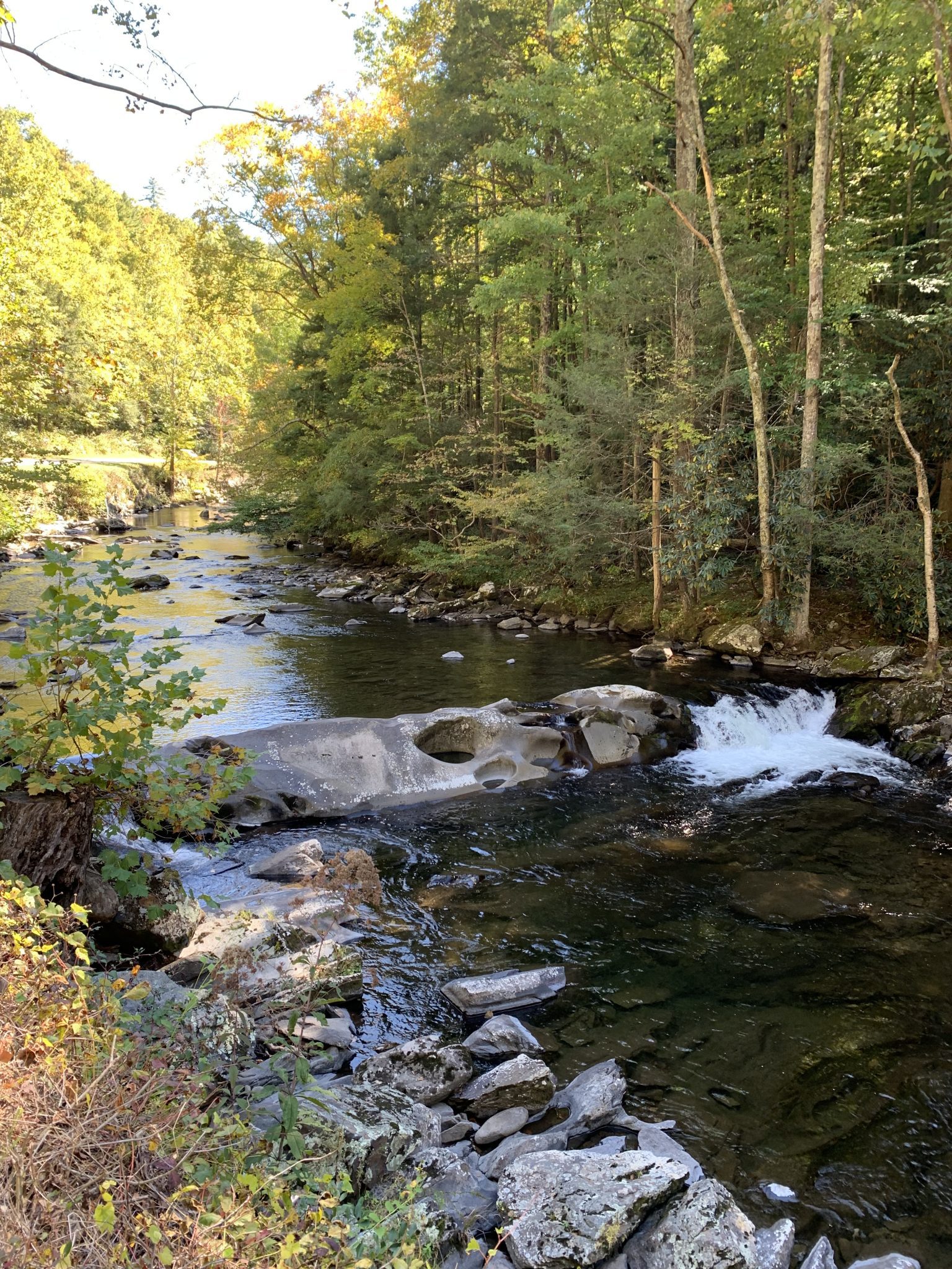 Fun In The Smoky Mountains - Day Two - Travel Discovered