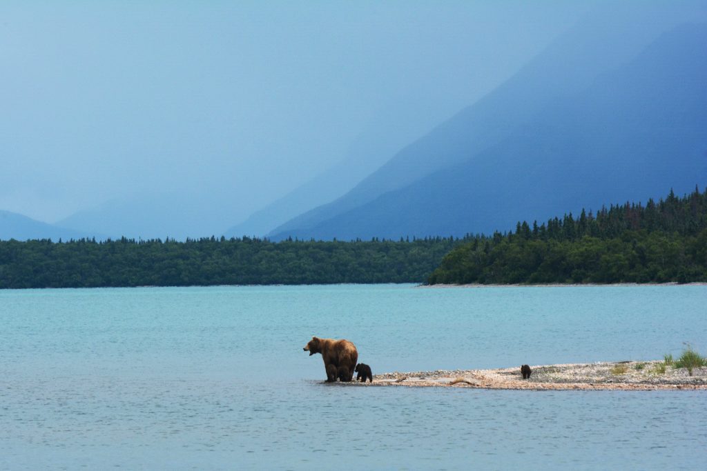 Alaska Cruising