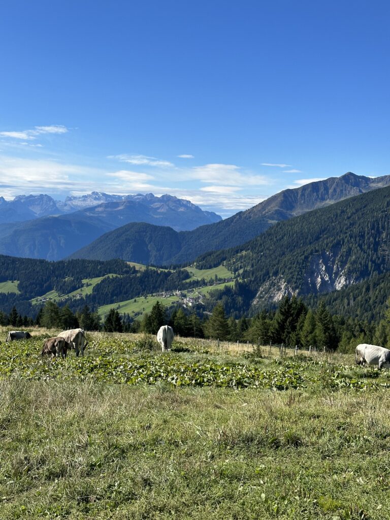 Hiking and Adventuring in the Dolomite Mountains Italy